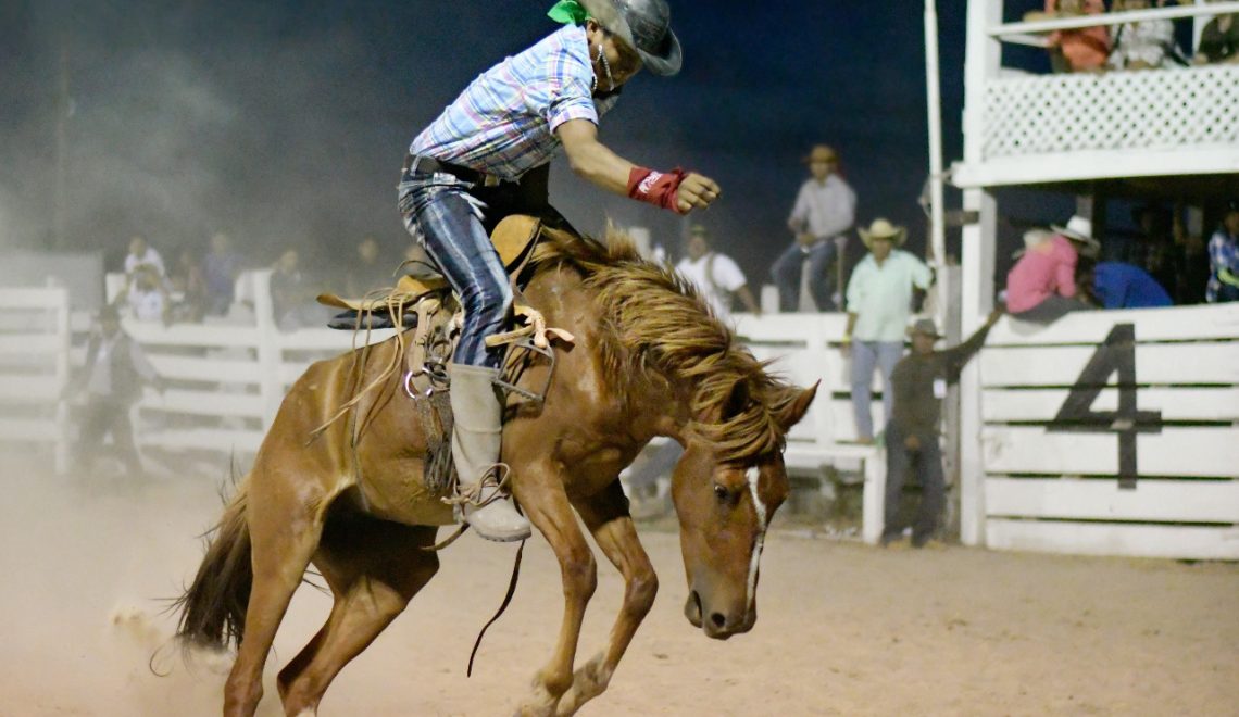 Legendary Rides and Untamed Spirit: Rupununi Rodeo 2025 - Traavel Guyana