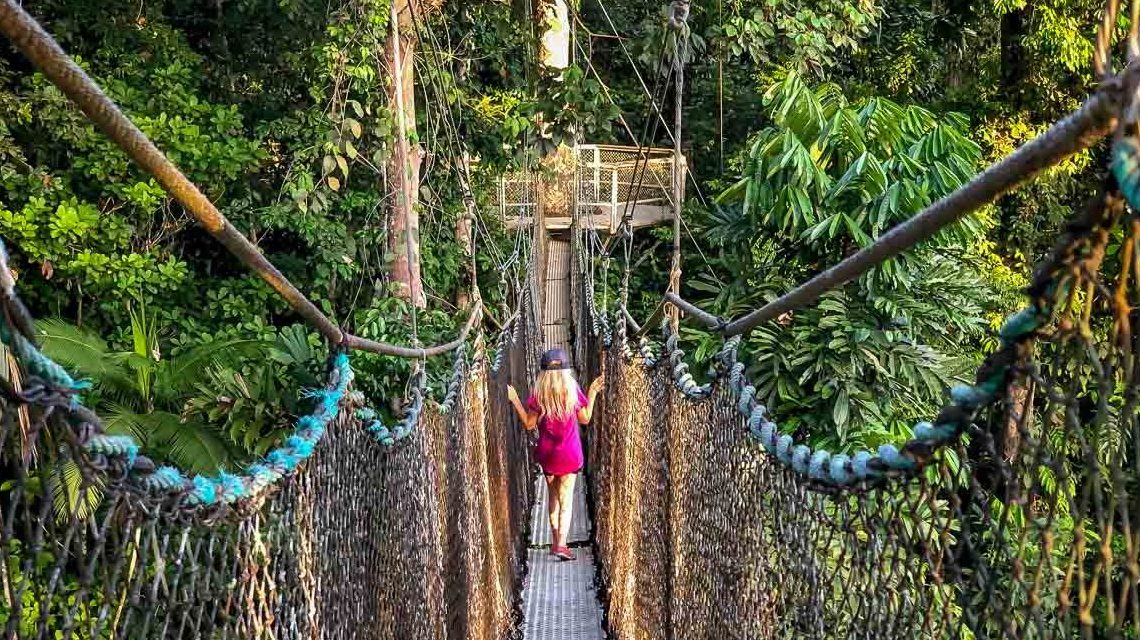 Exploring Iwokrama: Guyana’s Living Rainforest of Wonder - Travel Guyana