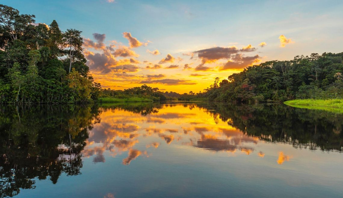 Life Along the River: Exploring Guyana’s Timeless Waterway Villages - Travel Guyana