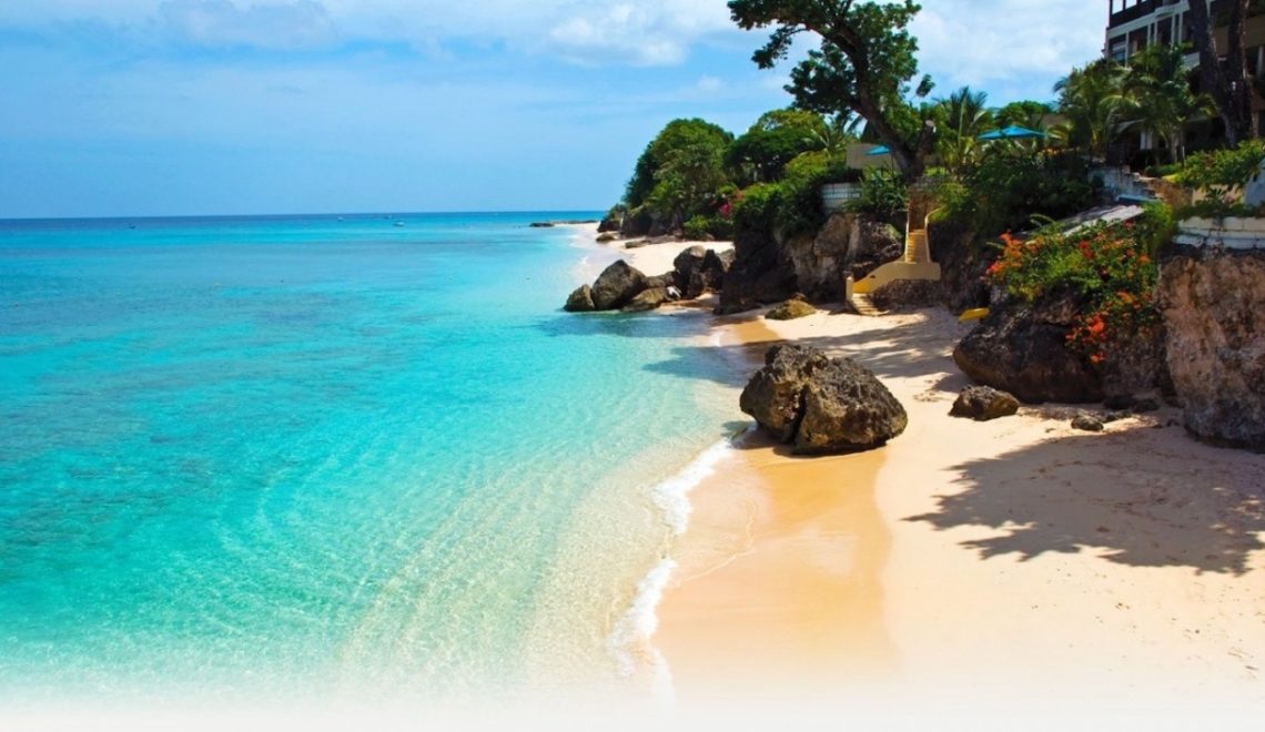 Shell Beach: Where the Ocean Meets the Wild in Guyana’s Northwest Coast - Travel Guyana