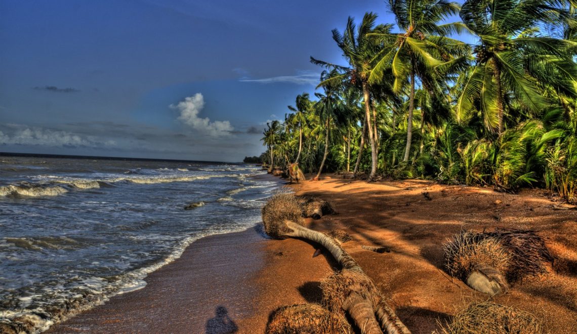 Shell Beach: Where the Ocean Meets the Wild Heart of Guyana - Travel Guyana