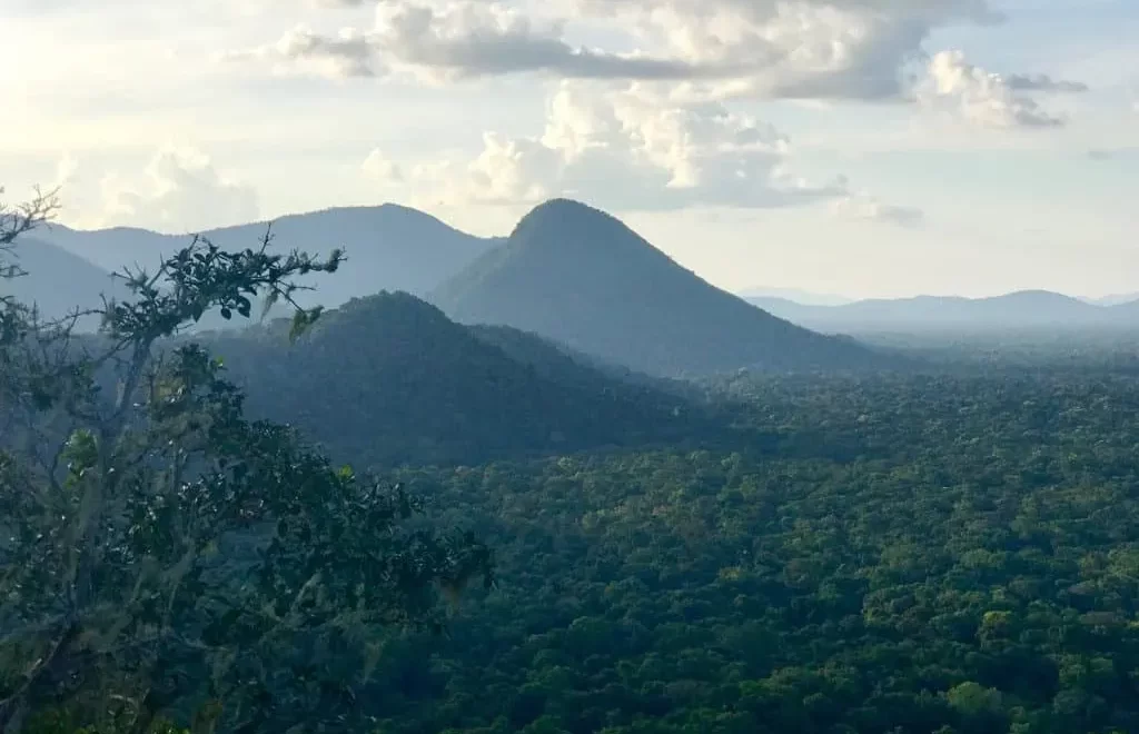 Into the Green Heart: Discovering the Amazon of Guyana - Travel Guyana