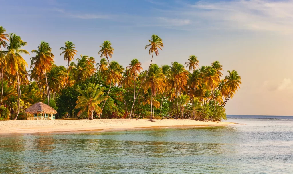 Tobago: The Secret Jewel of the Caribbean That Guyanese Travellers Are Falling in Love With - Travel Guyana