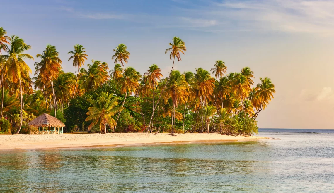 Tobago: The Secret Jewel of the Caribbean That Guyanese Travellers Are Falling in Love With - Travel Guyana